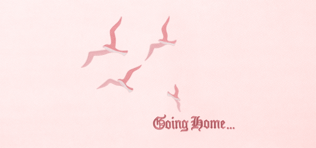 Going Home NEW Birds Pink Pink Faux